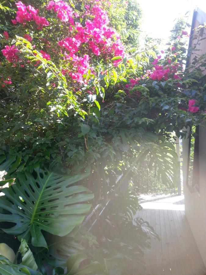 Supacute Character Cottage, Wifi, Sky Tv, Spa Bath, Spa Bath, Dble Kayak And Possibly A Car! Palm Beach Exterior foto