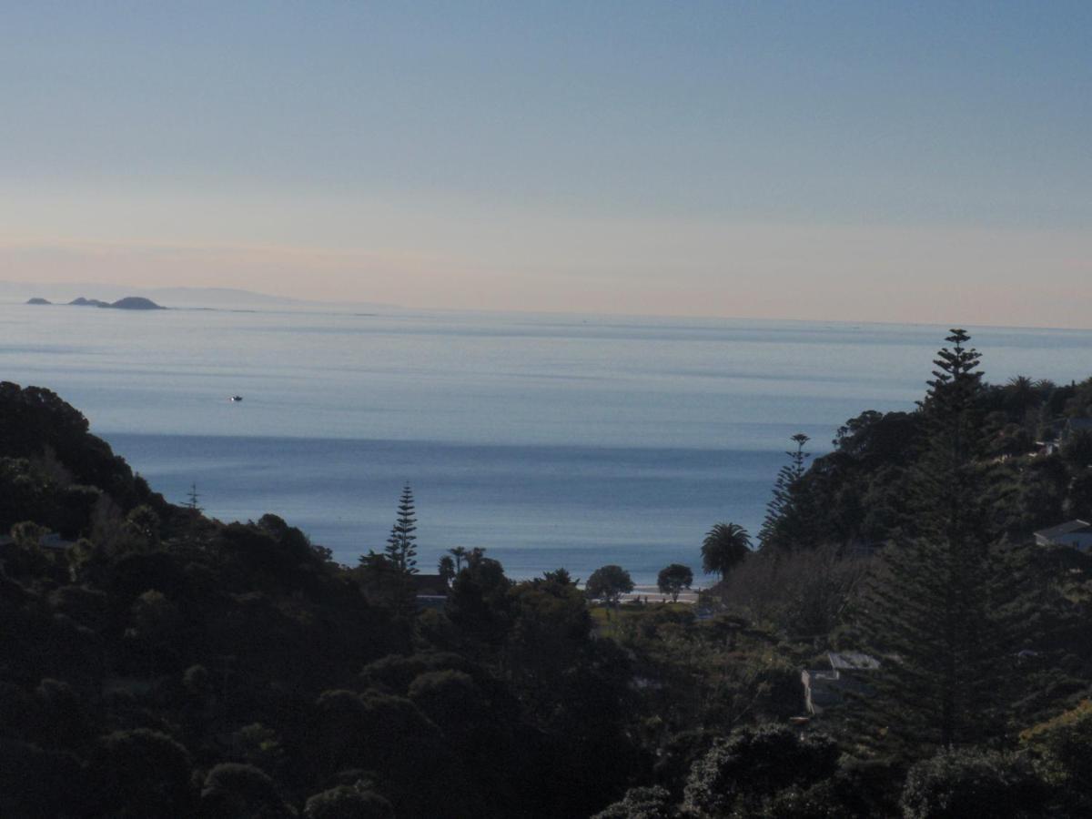 Supacute Character Cottage, Wifi, Sky Tv, Spa Bath, Spa Bath, Dble Kayak And Possibly A Car! Palm Beach Exterior foto
